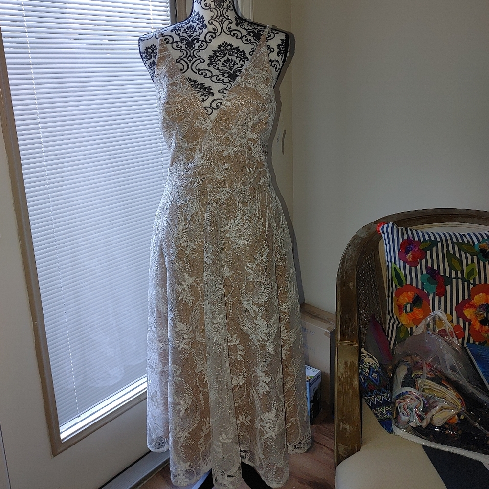 Dress the Population Lace Dress